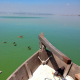 Besichtigung von Valencia und dem Naturpark Albufera