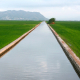 Visita Valencia y parque natural de la Albufera