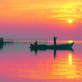 Besichtigung von Valencia und dem Naturpark Albufera