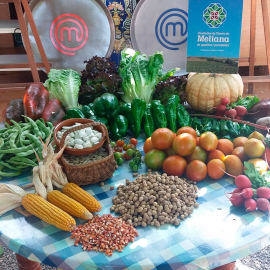 Valencia en bici descubriendo la huerta y la autentica paella