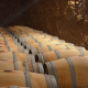 Tour de vino, paseo entre viñedos de la variedad Bobal