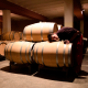 Private wine tour, the kingdom of Bobal