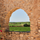 Private wine tour, the kingdom of Bobal