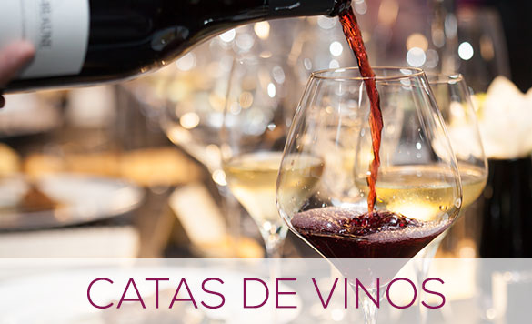 Catas de vino en Valencia