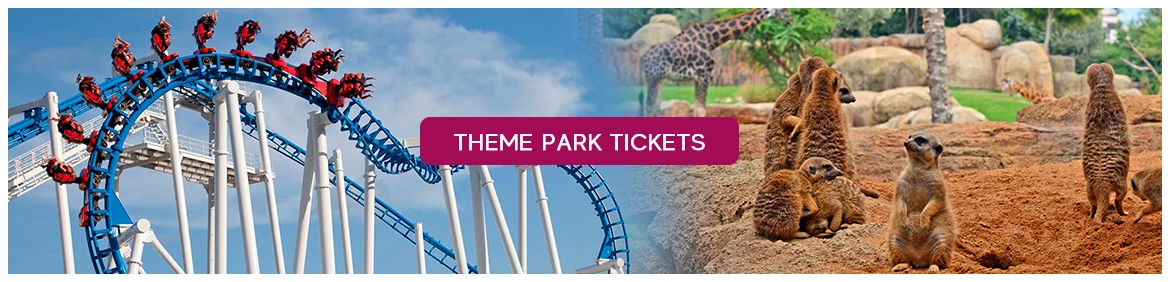 Theme park tickets