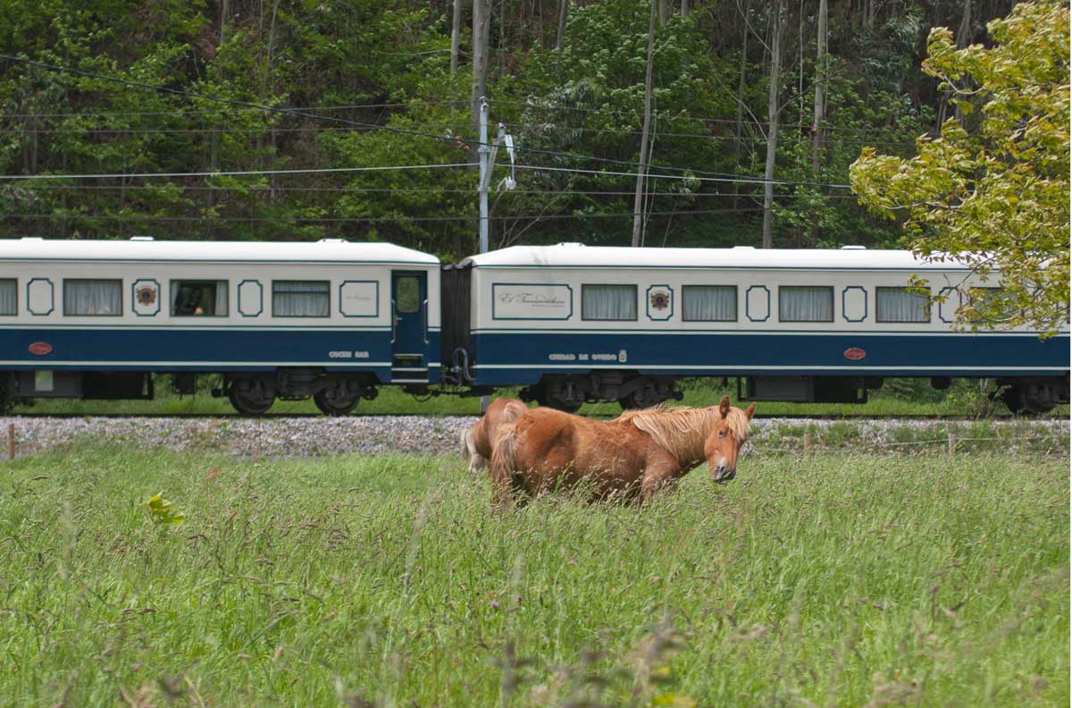 tren-costa-verde-express